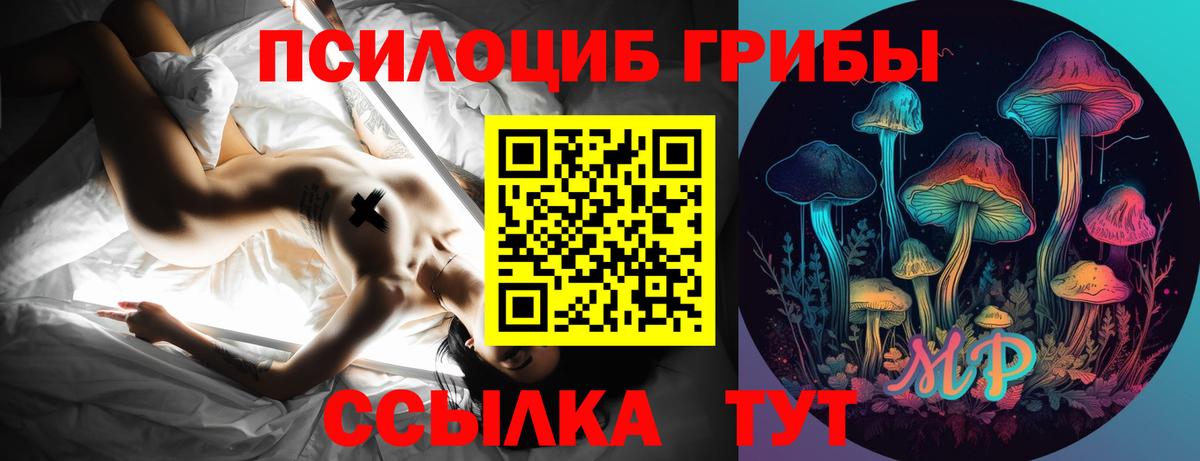 Псилоцибиновые грибы MAGIC MUSHROOMS Волжский